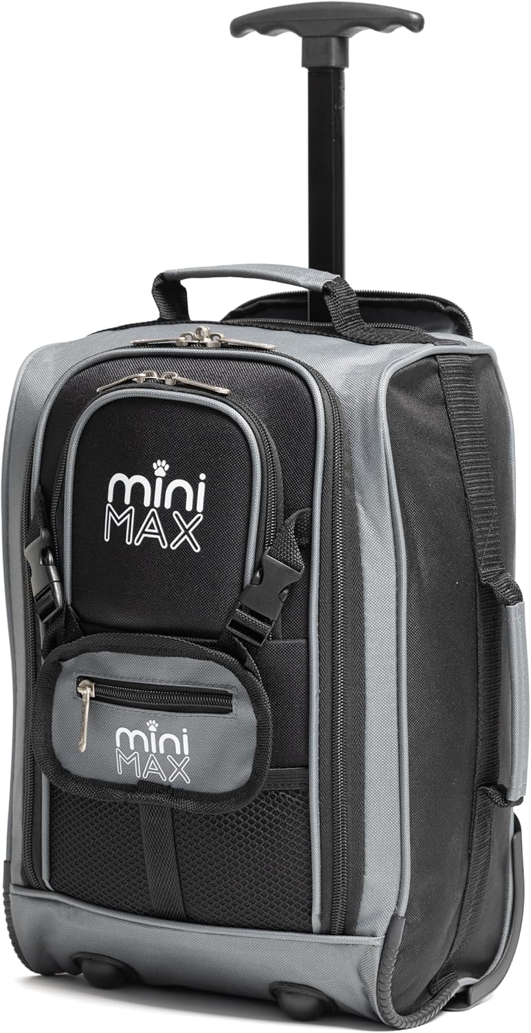 Aerolite MiniMAX 20L Ryanair 40x20x25 Maximum Size Cabin Hand Luggage Under Seat Trolley Backpack Carry On Cabin Hand Luggage Bag with 2 Year Warranty (Black)